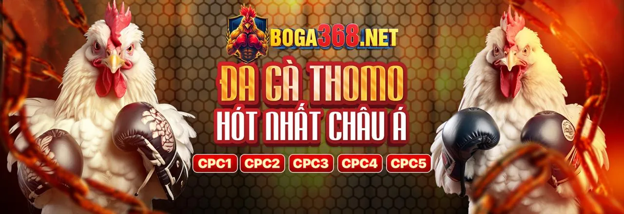 Hướng dẫn luật chơi sòng bạc shbbet